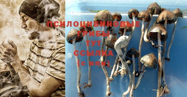 mix Богородск